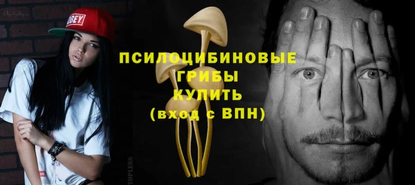 экстази Алексин