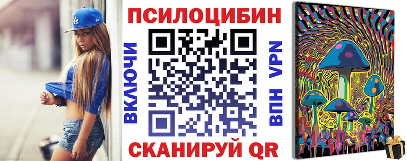 где купить наркотик  Энгельс  Галлюциногенные грибы Psilocybine cubensis 